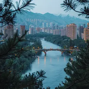 为字为笔顺怎么写，正确写法详解