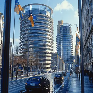 不乱扔垃圾属于什么法律