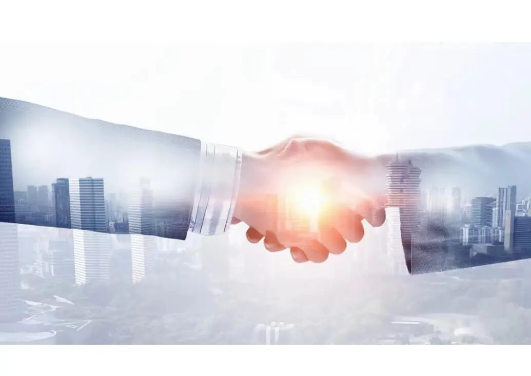 法律基本形式是什么